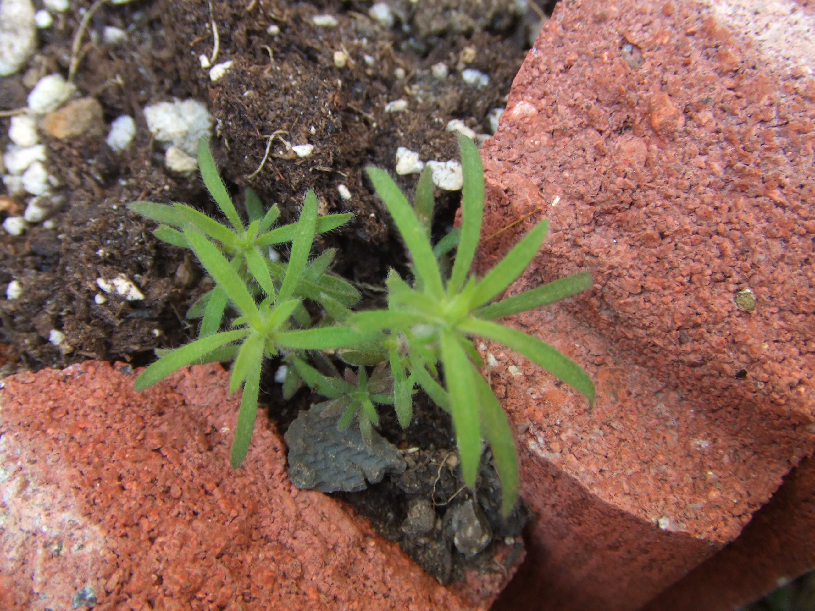 20100503 013.jpg