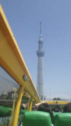 NEC_12711.jpg