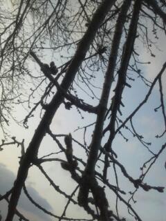 20130406_080625.jpg
